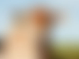 Biological Hazards Gaining National Focus: Why Q Fever and Airborne Risks Are the New WHS Frontline