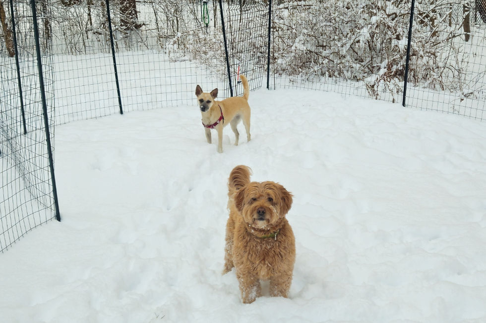 20260117_155638_edited