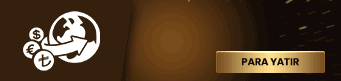 hizli-havale-para-yatirma.gif