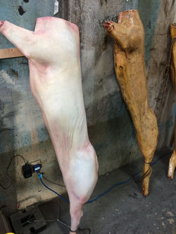 FAKE PIG CARCASS