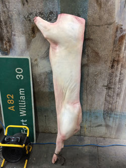 FAKE PIG CARCASS