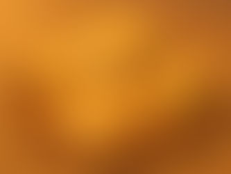 新感覚えびせん【クアトロえびチーズ】