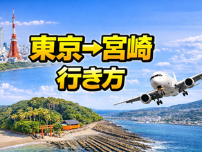 東京→宮崎 行き方、60代ゆったり観光