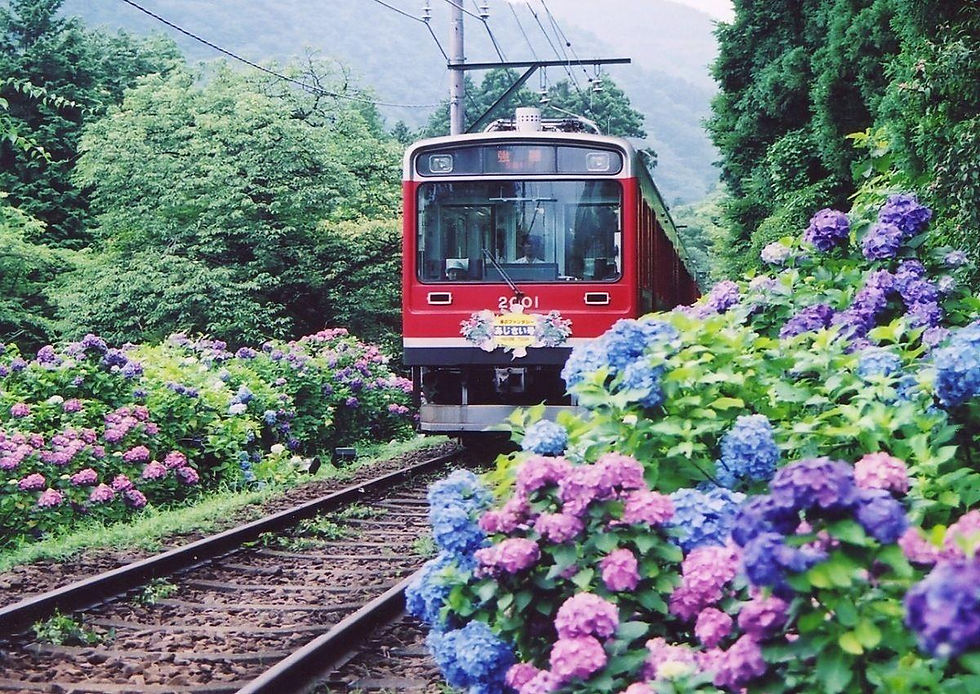 箱根登山電車