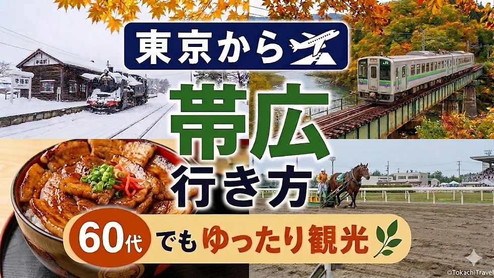 東京から帯広への行き方 60代でもゆったり観光