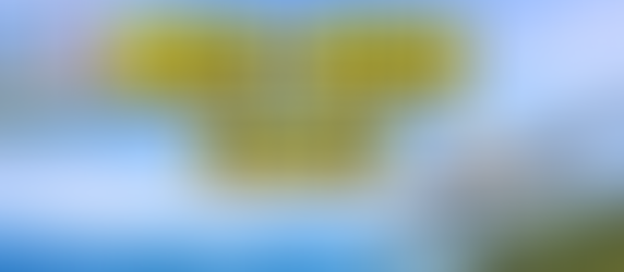 東京→高知 行き方、60代ゆったり観光