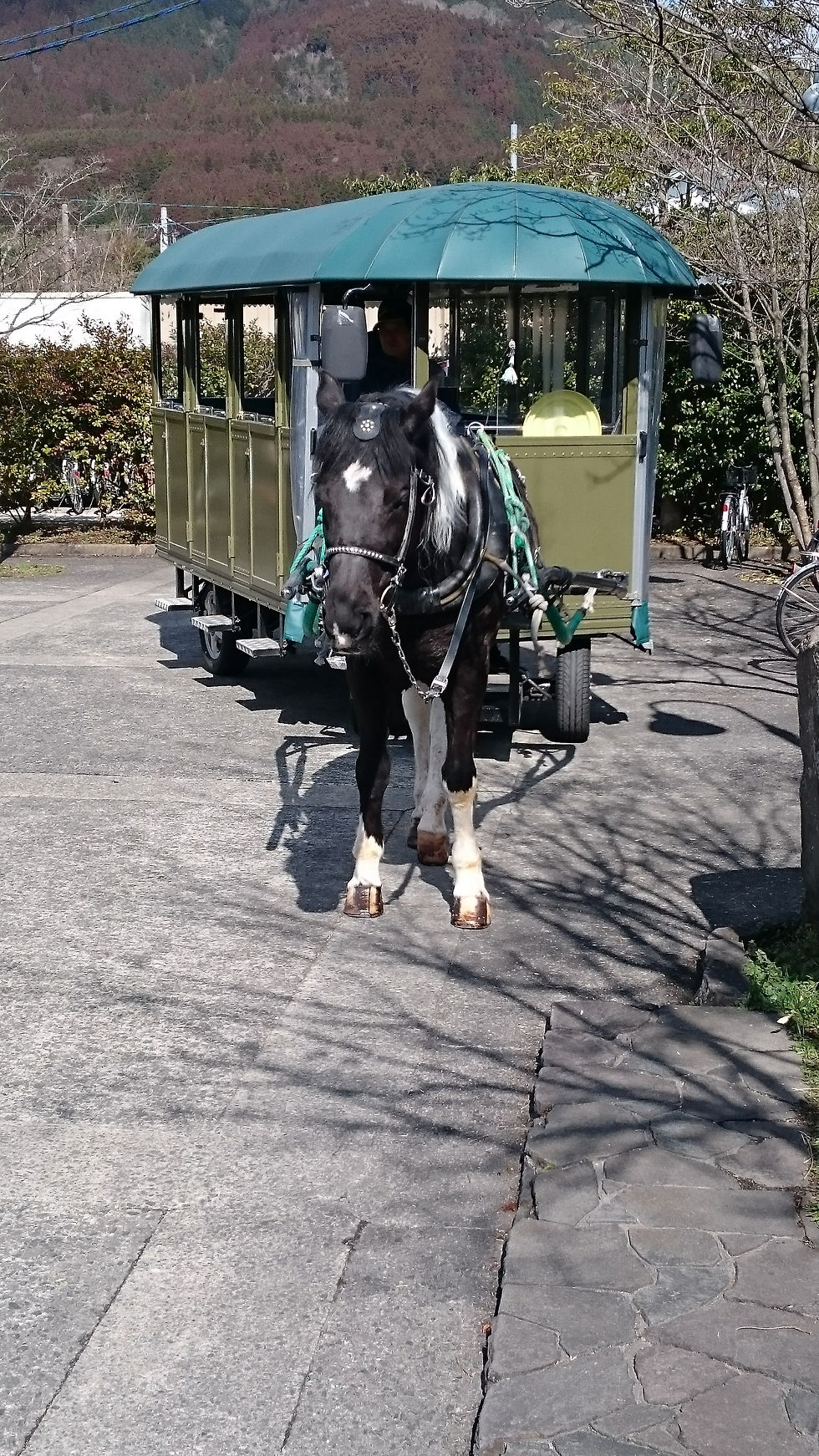 馬車:前に訪れた画像(秋)です。