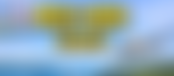 東京→徳島 行き方、60代ゆったり観光