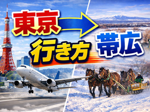 東京→帯広 行き方、60代ゆったり観光
