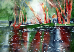 Rainy Day in Sao Paulo