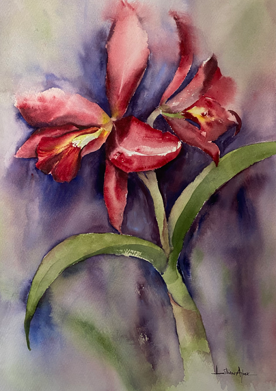 Lilian Arbex_Cattleya.heic