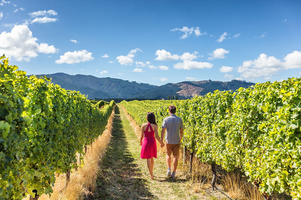 bigstock-Vineyard-couple-tourists-New-Z-195812149.jpeg