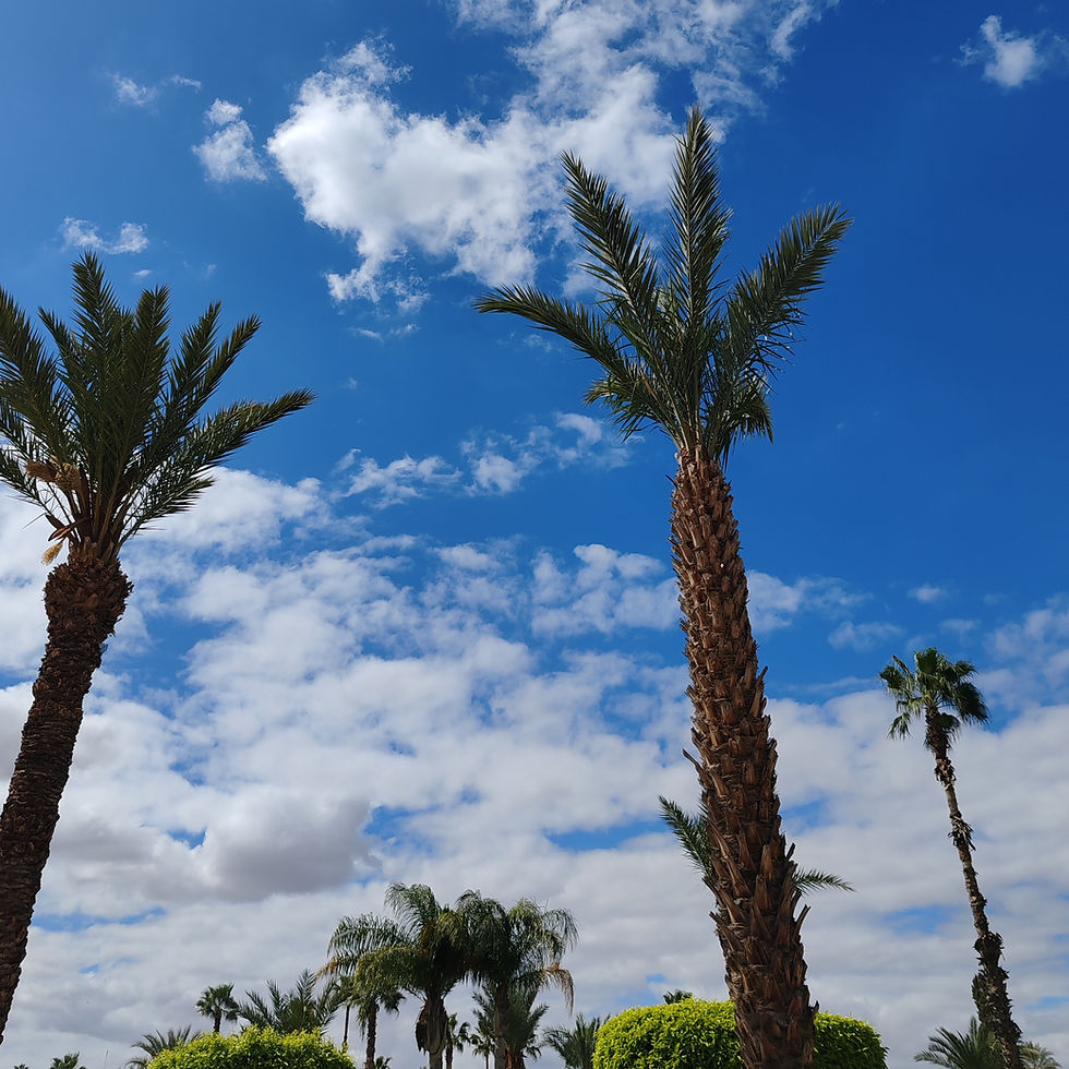 Paradis. Essenza di profumo in olio