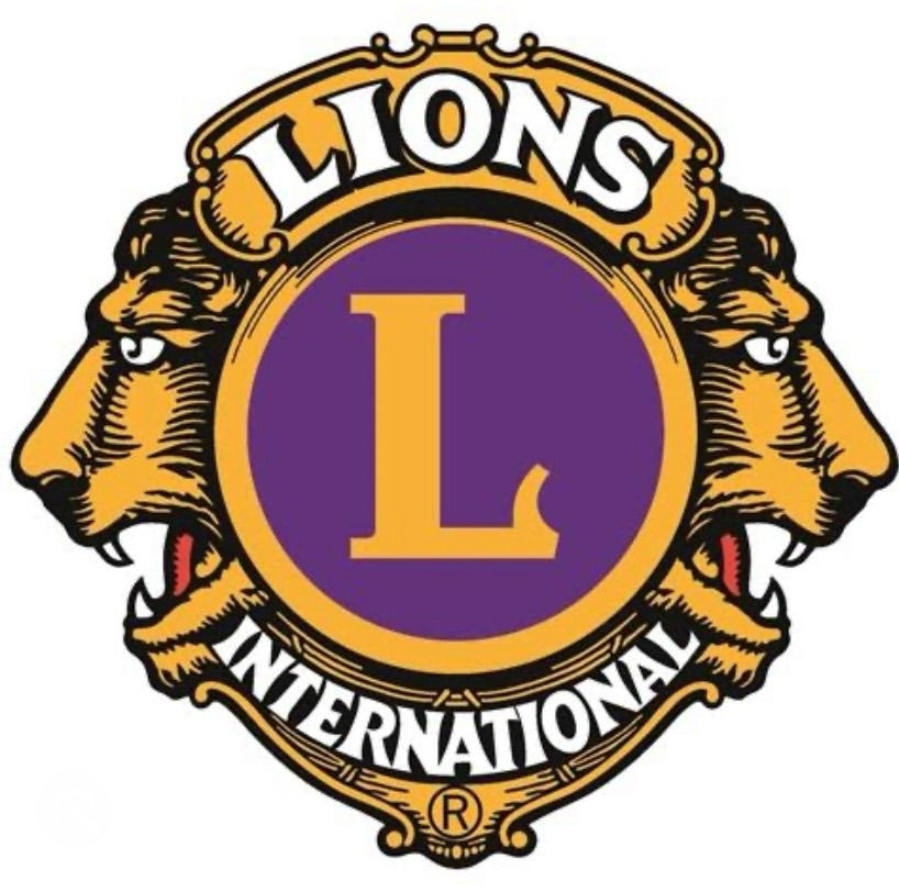 mmLions.jpg