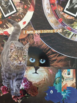 Collages
