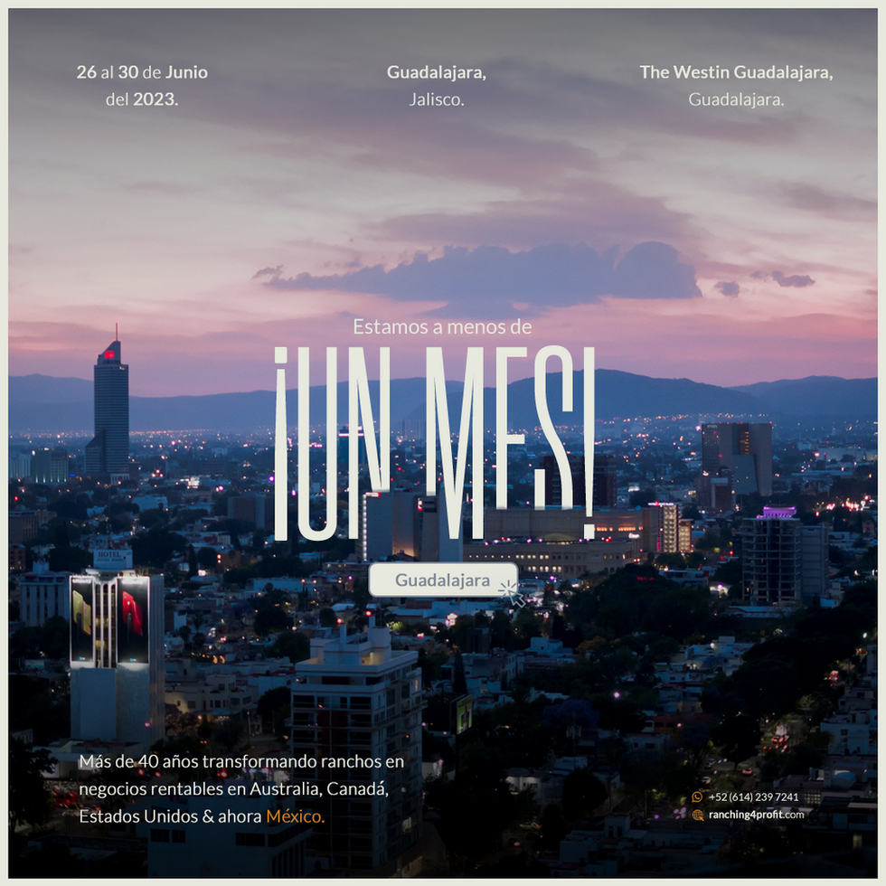 0.GDL - un mes