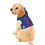Thumbnail: Funny Pet Hoodie - "Will Sit for Treats" - Cozy Dog Outfit for Pets