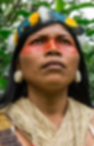 Nemonte Nenquimo
