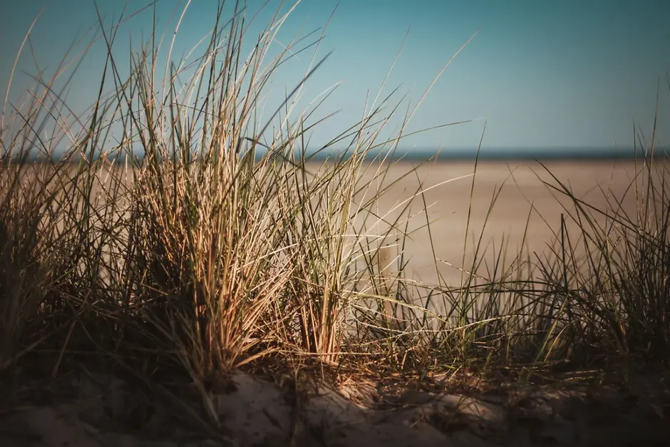 Hintergrundbild Instagram Teaser Marzena Beutel