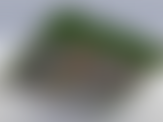 Hrvatski bioplinski sektor u 2016. godini