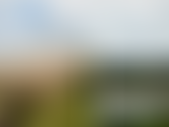 Umjetna močvarišta za čistu vodu