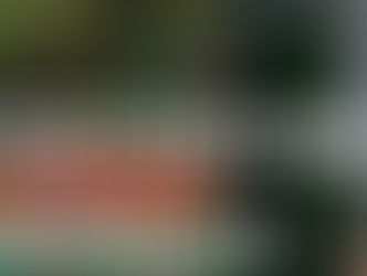 Macmillan Free Wills Month – August 2018