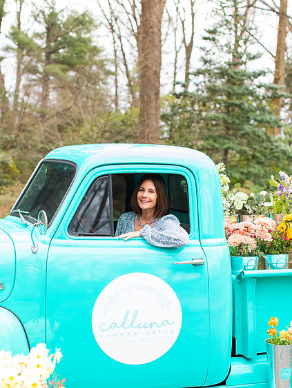 Elissa, Owner