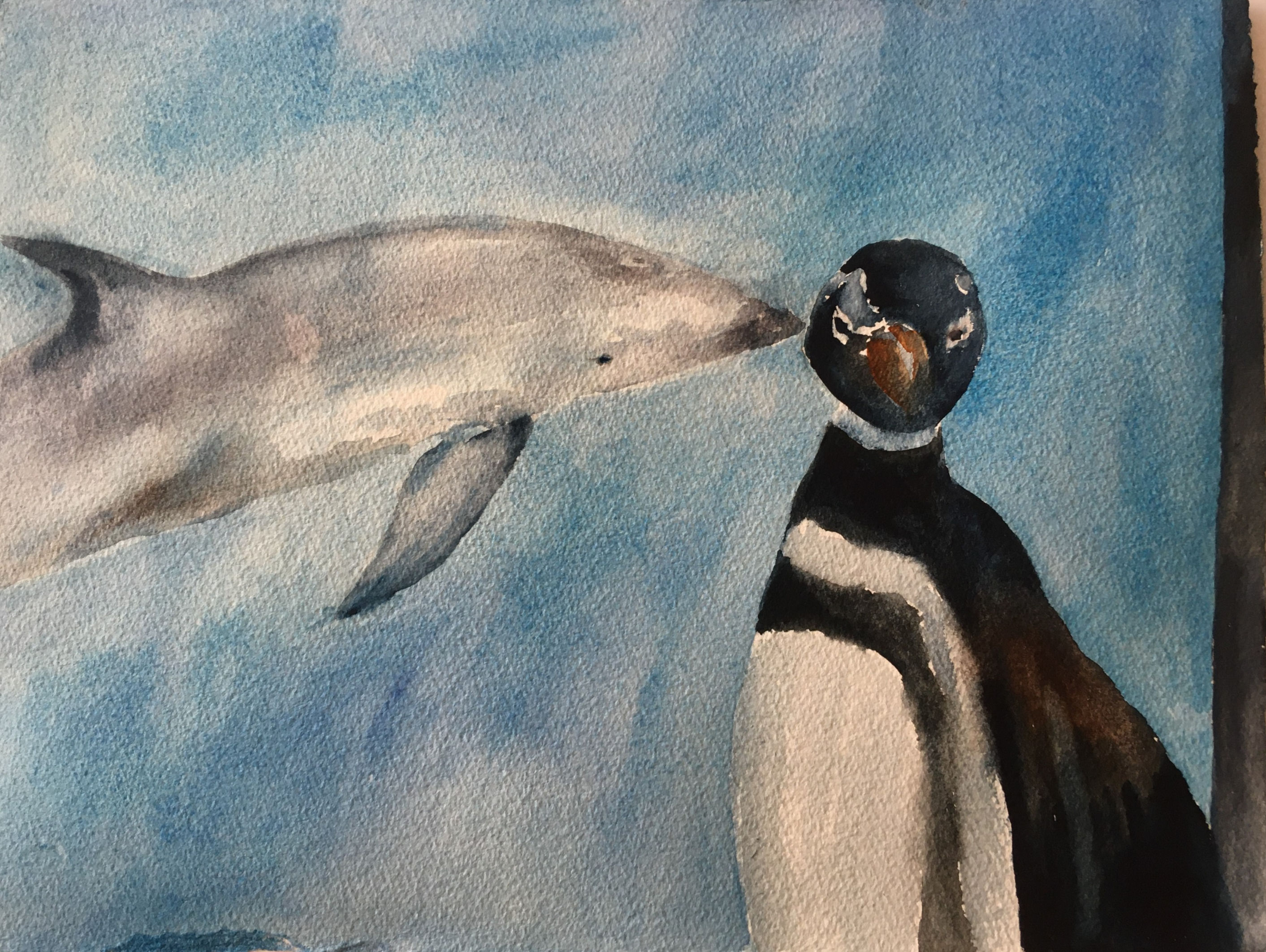 Dolphin Kiss