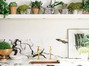 So, You Want a Healthy Home?