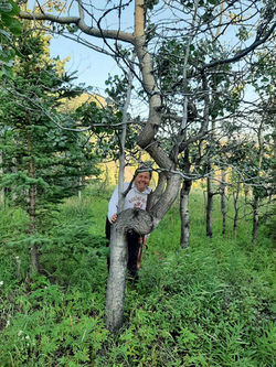 Tree hug