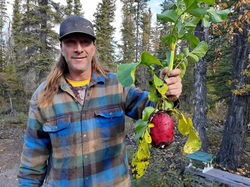 Radical Radish