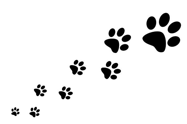 paw-print-silhouette-7.png