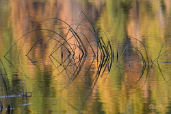 2014-10-19-dormillouze 140-800