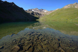 2015-06-21-terres pleines 020-800