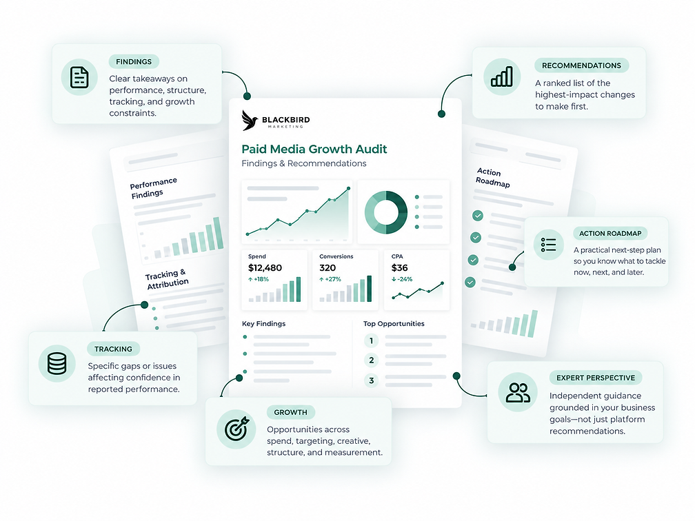 Blackbird Marketing Growth Audit Dashboard.png