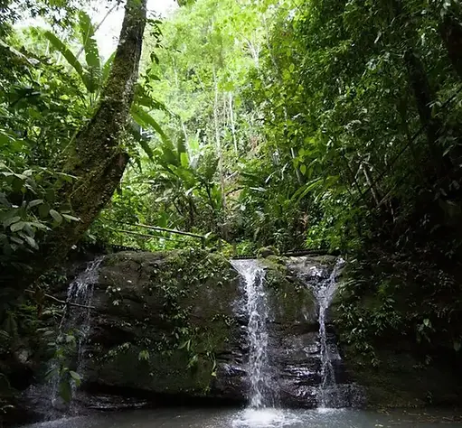 Waterfall in Talamanca Jungle
