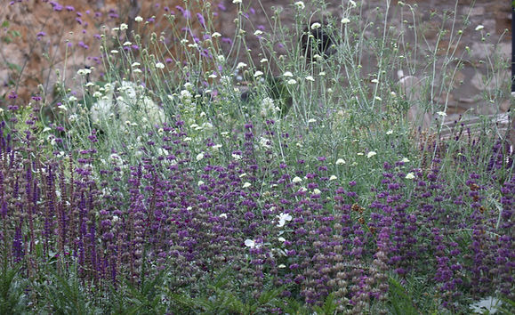 2022-07-22 09.07.04.jpeg