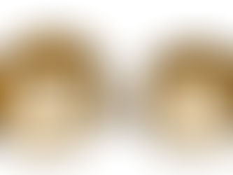 二匹の猿　豊臣兄弟