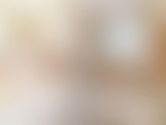 16405 Craig Dr , Oak Forest, IL