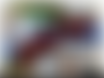 Coming Soon ~ Bolingbrook IL