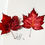 Thumbnail: Red Maple Leaf
