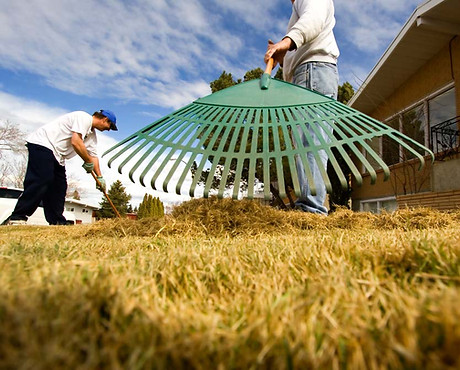 Raking Grass