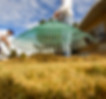 Backyard Lawn Cleanup