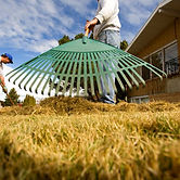 Raking Grass