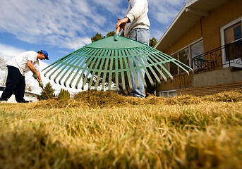 Raking Grass 