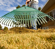 Raking Grass