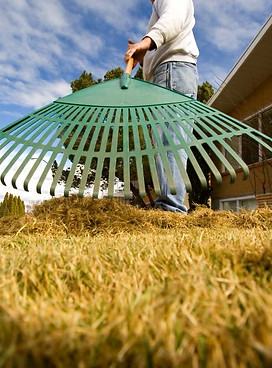 Raking Grass