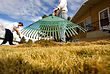 Raking Grass