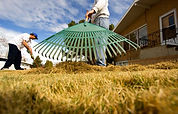 Raking Grass