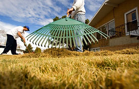 Raking Grass